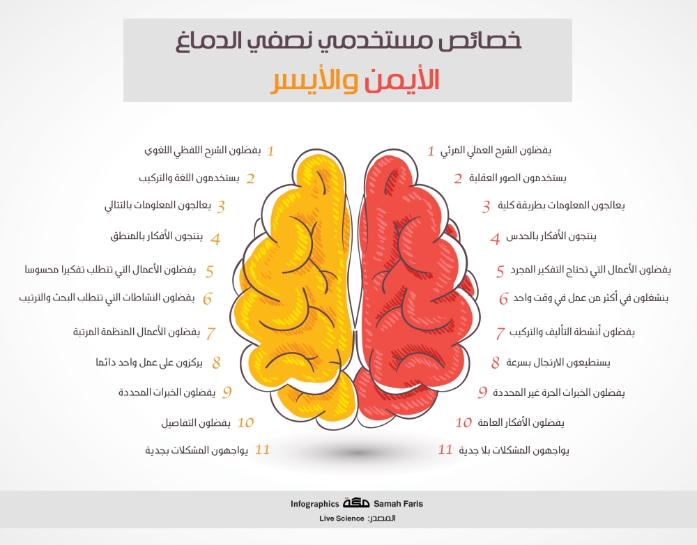 خصائص مستخدمي النصفين الأيمن والأيسر من الدماغ صحيفة مكة
