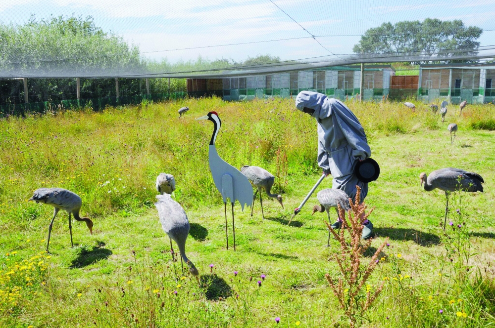 u0628u0627u062du062b u062fu0627u062eu0644 u0645u062du0645u064au0629 u0637u064au0648u0631                 (u0623 u0641 u0628) 