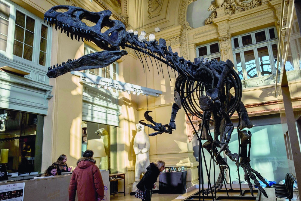  u0647u064au0643u0644 u0627u0644u062fu064au0646u0627u0635u0648u0631 u0627u0644u0645u0628u064au0639                                                       (u0623 u0641 u0628) 