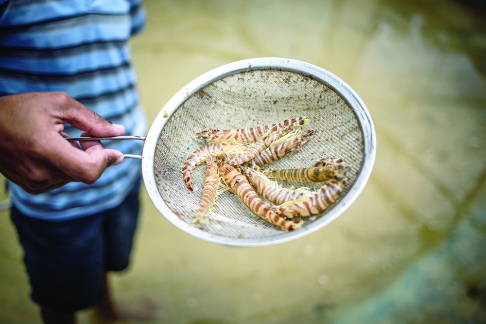 u0623u062du062f u0623u0646u0648u0627u0639 u0627u0644u062cu0645u0628u0631u064a                                         (u0645u0643u0629) 