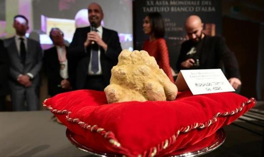 الكمأة في المزاد   (أ ف ب)