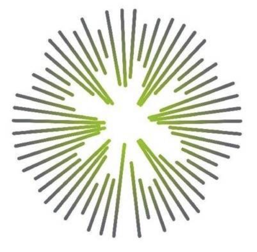 شعار الهيئة السعودية للفضاء 