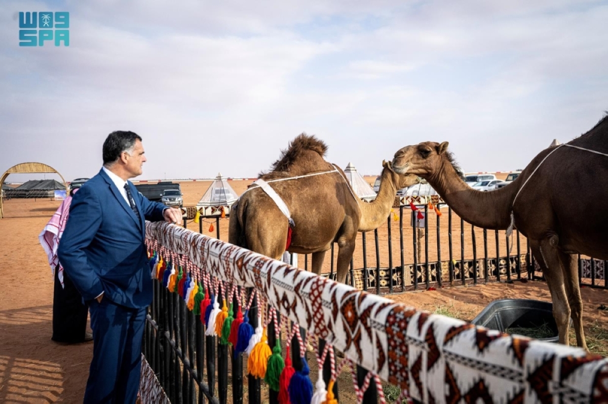 100 سائح من دول مختلفة يوثقون الحضور الدولي لمنافسات مهرجان الملك عبدالعزيز للإبل 
