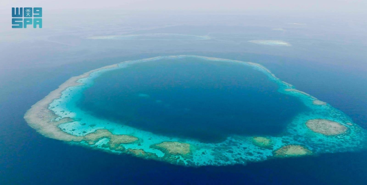 مركز الحياة الفطرية يطور منظومة الحوكمة في محميتي الثقوب الزرقاء ورأس حاطبة 