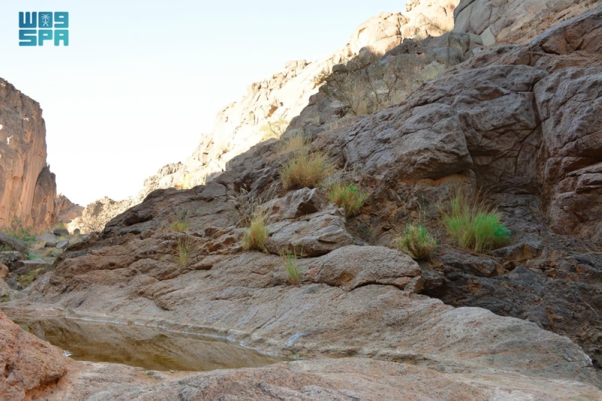 وادي مغيدد... أيقونة لجمال الطبيعة 