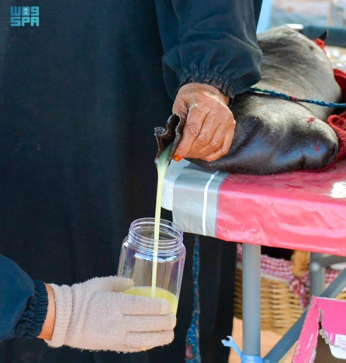 «القربة» موروث شعبي يظهر براعة الأجداد. في استخدام الموارد الطبيعية 