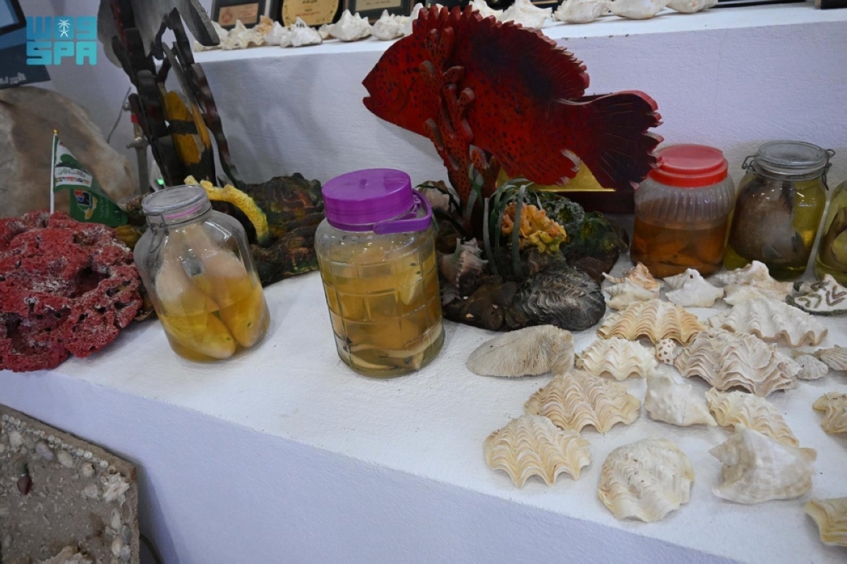 المتحف البحري بفرسان.. نافذة على كنوز البحر الأحمر وإرث المحافظة العريق