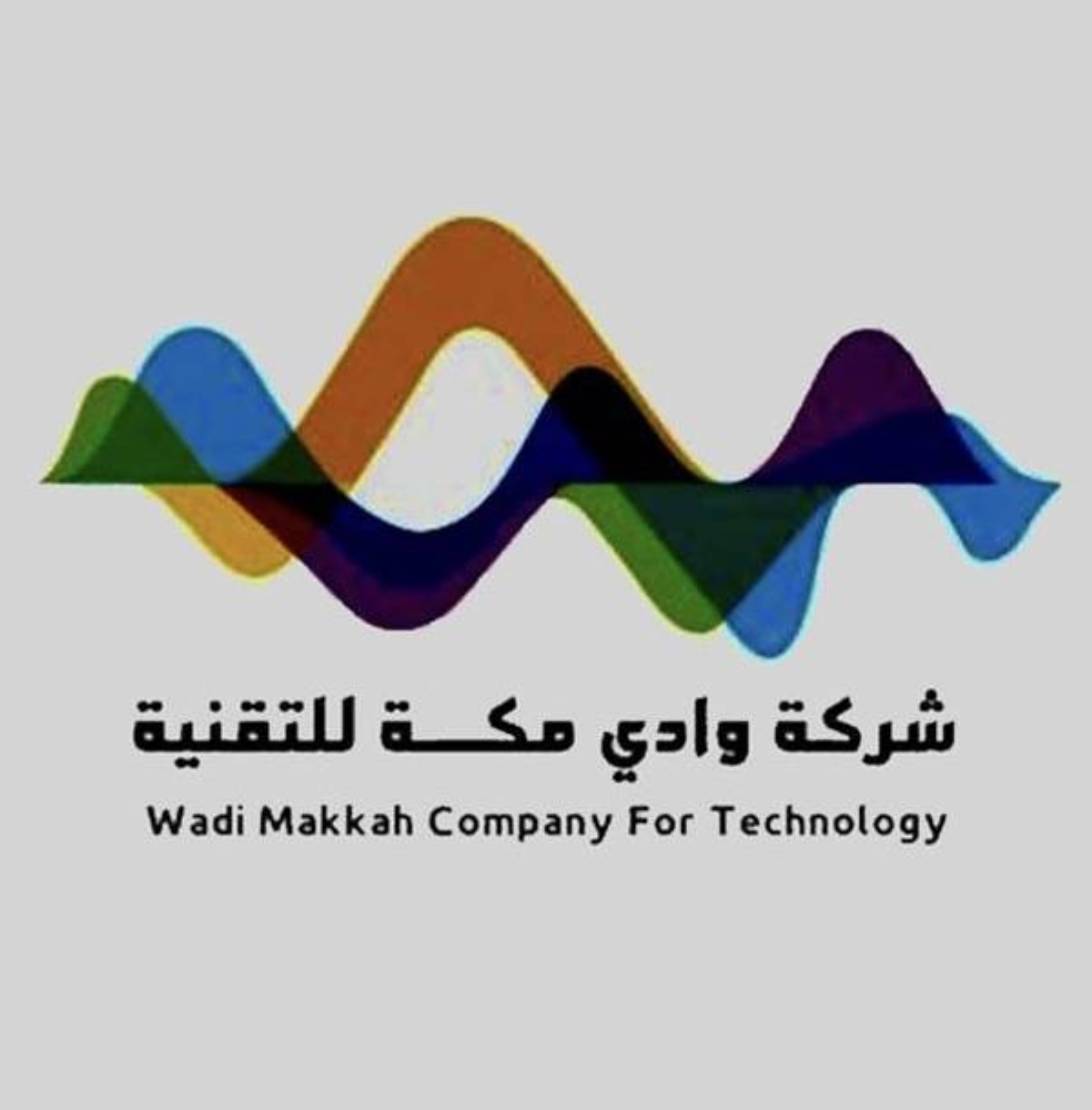 شركة وادي مكة تنظم ورشة عمل لتعزيز بناء النماذج المالية والحوكمة في الشركات الناشئة