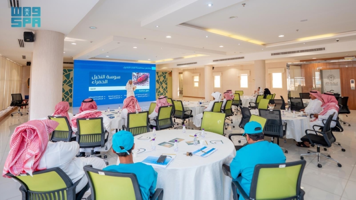 غرفة حائل تنظم ورشة عمل. حول التعامل الآمن مع مبيدات النخيل والتمور 