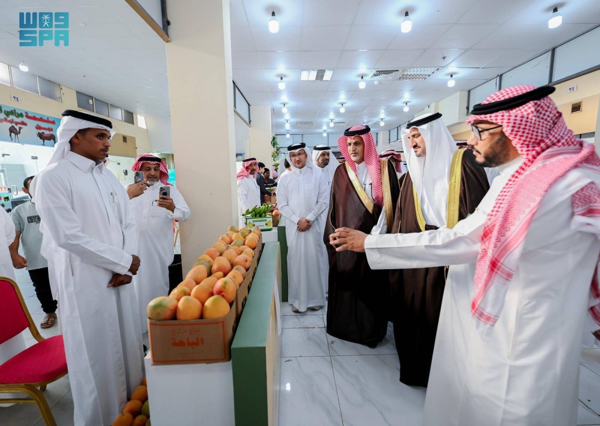انطلاق مهرجان المانجو الثالث بالمخواة